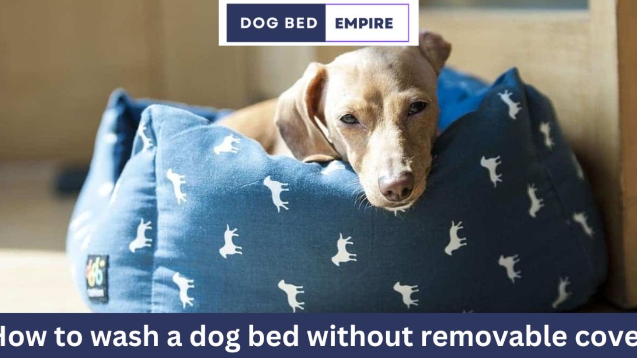 How to wash a dog bed without removable cover