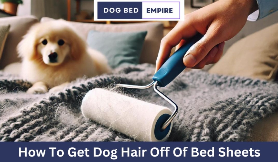 How To Get Dog Hair Off Of Bed Sheets